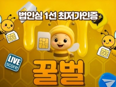 법인심 1선 최저가 인증