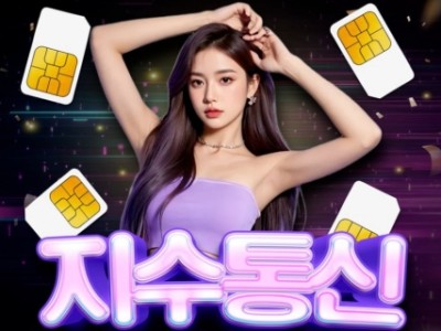 선불 유심 내구제