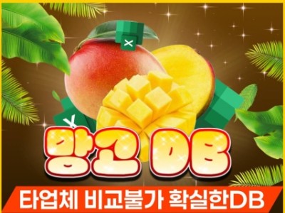 재탕/짜집기/중복/막디비 절대검수