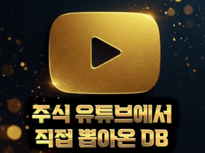 주식 유튜브에서 직접 추출한 확실한 주식 DB